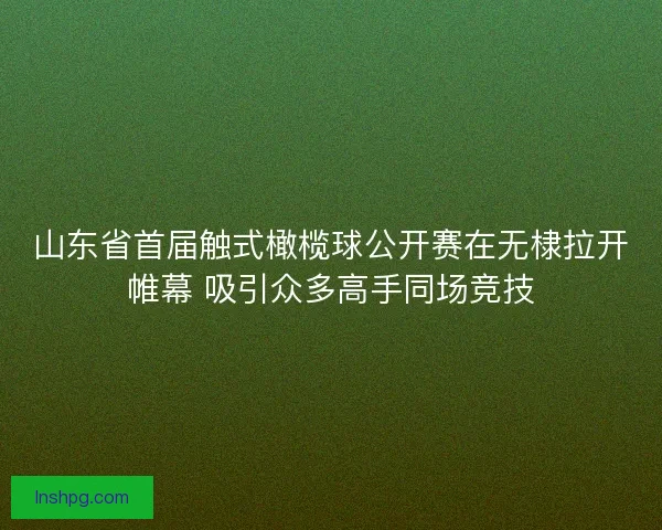 山东省首届触式橄榄球公开赛在无棣拉开帷幕 吸引众多高手同场竞技