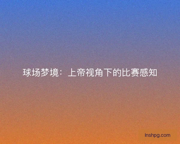 球场梦境：上帝视角下的比赛感知